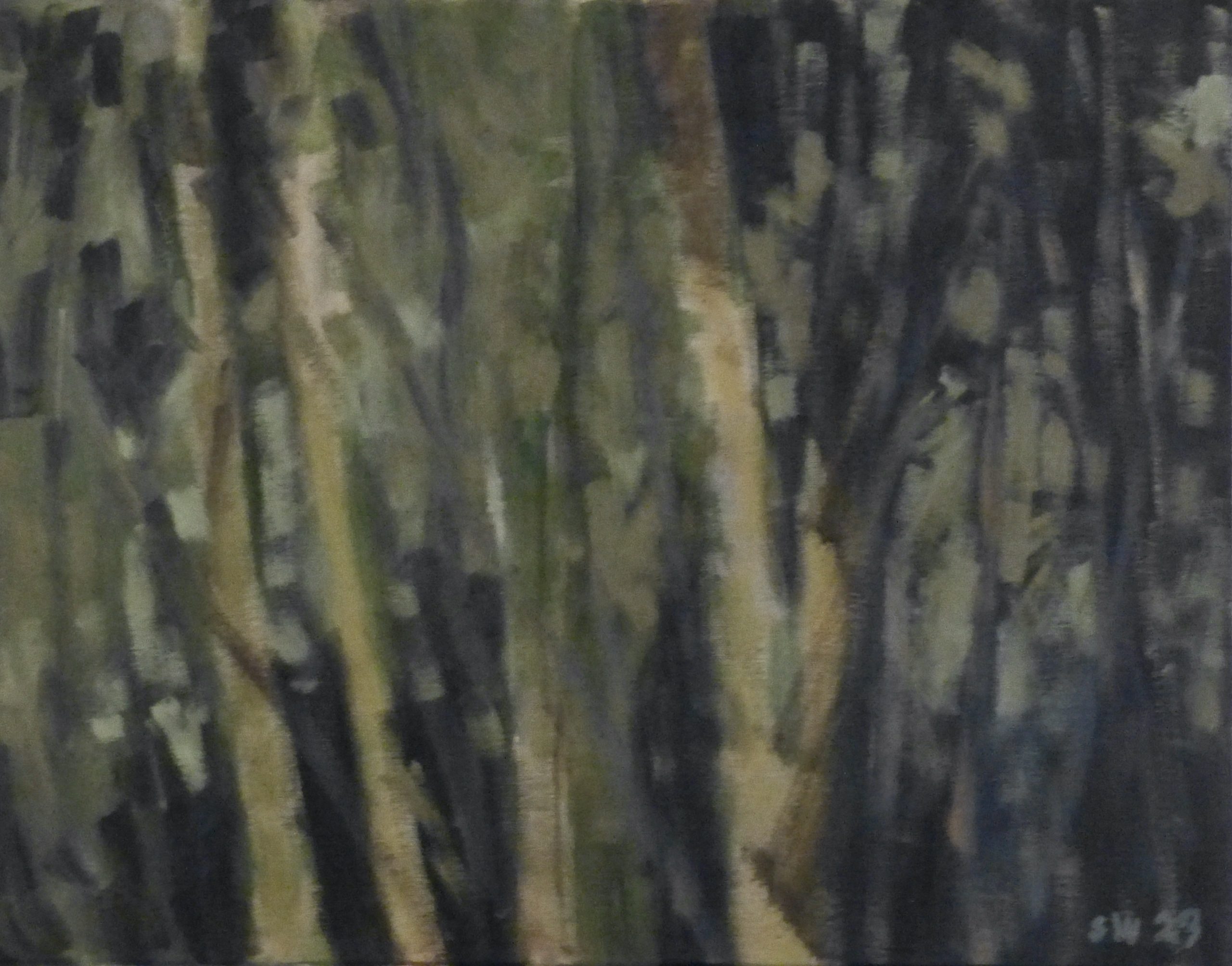 forest-1418-2023-scaled
