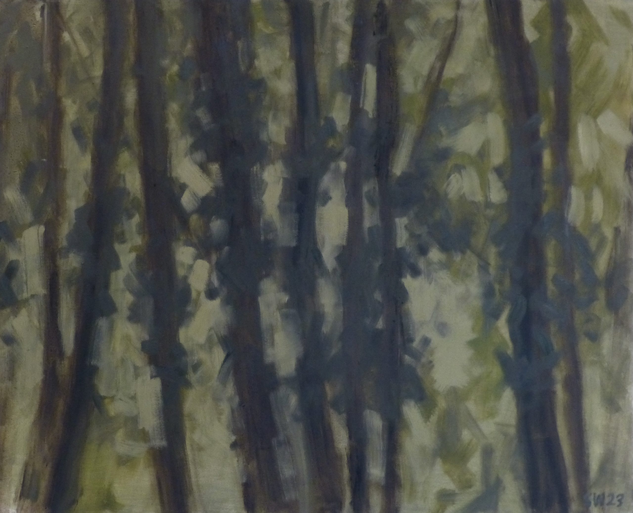 forest-3-24x30-2023-scaled