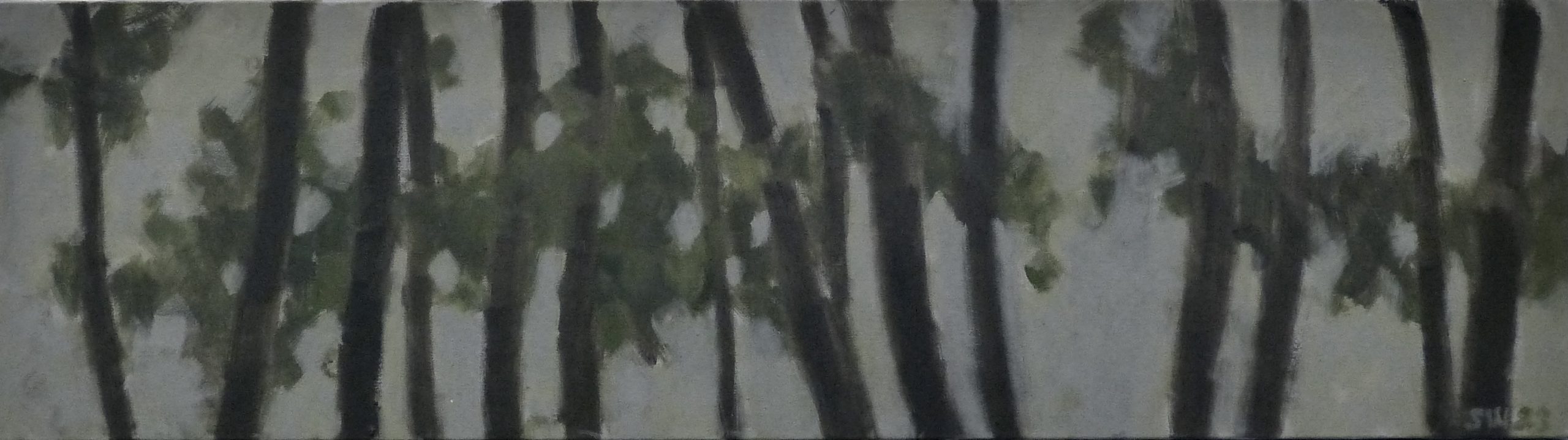 forest-4-10x36-2023-scaled