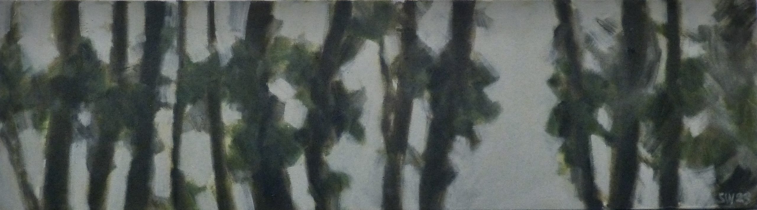 forest-5-10x36-2023-scaled