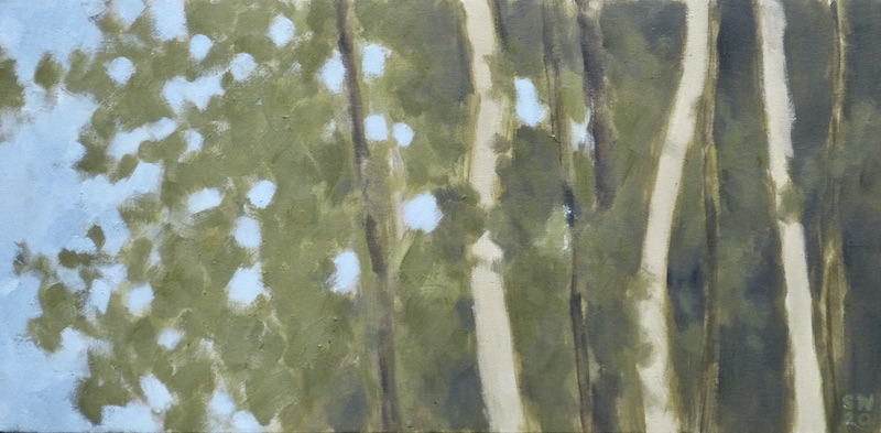 forest-edge