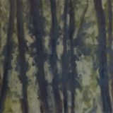 forest-3-24x30-2023-scaled