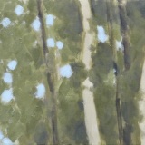 forest-edge