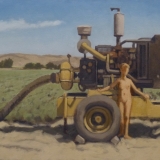 model with field pump  18x30". 2014